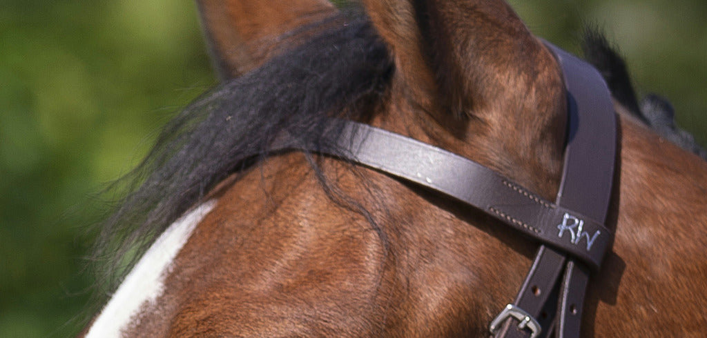 Riding World – Bridon « Muserolle Française » Shetland