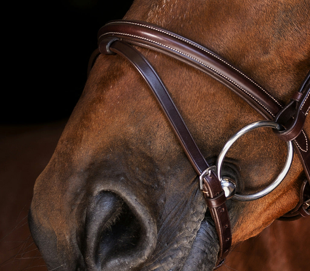 Eric Thomas Elite – Bridon « Londres »