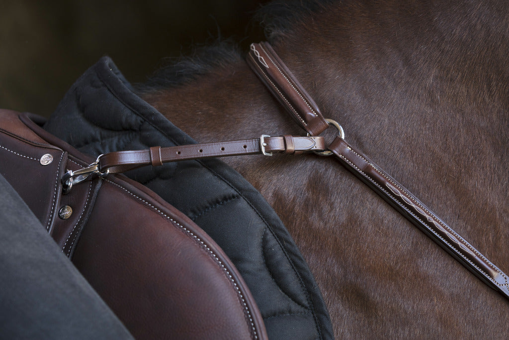 Norton Pro – Collier de Chasse