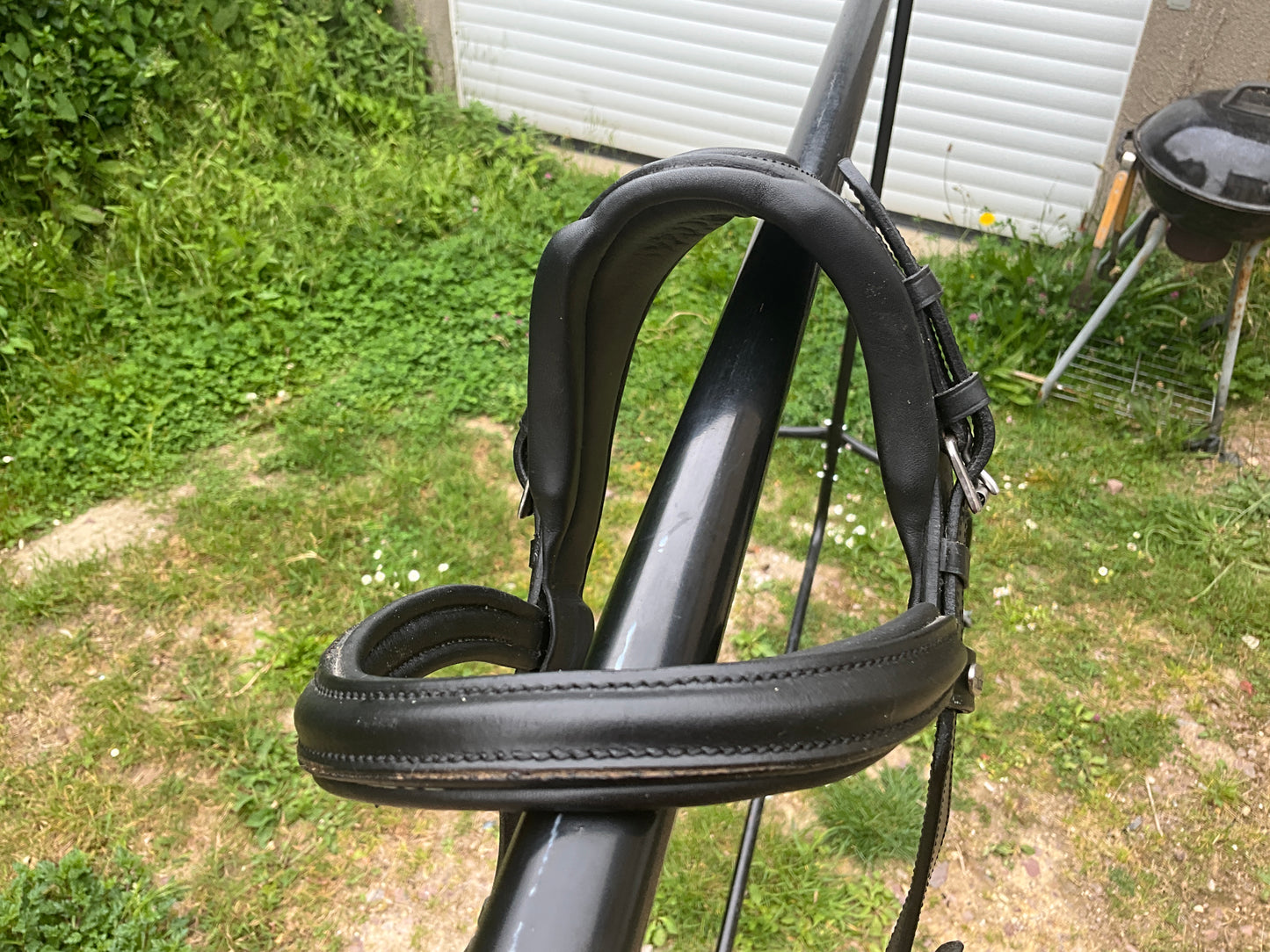 Felix Bühler - Bridon Anatomical Vision Space cob