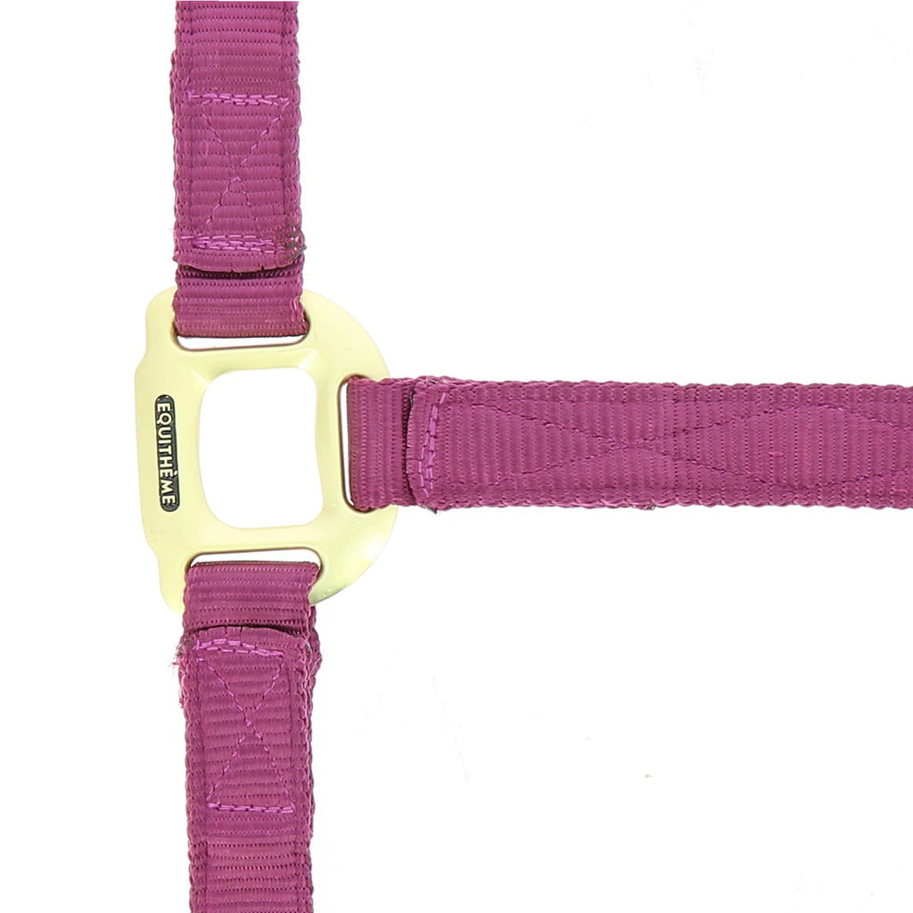 Equithème – Licol « Nylon »