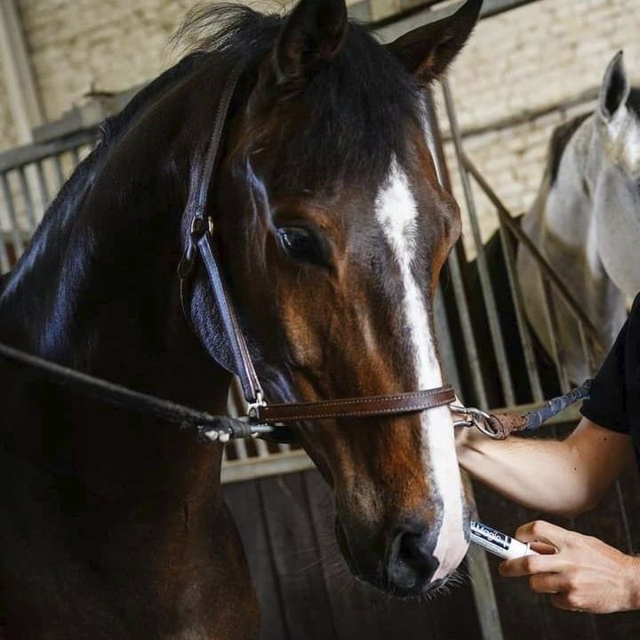 NAF – Aliment Complémentaire « Instant Magic » 3x30mL