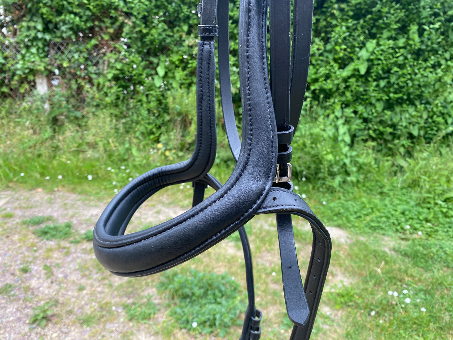 Felix Bühler - Bridon Gently Anatomical Innovation Cob