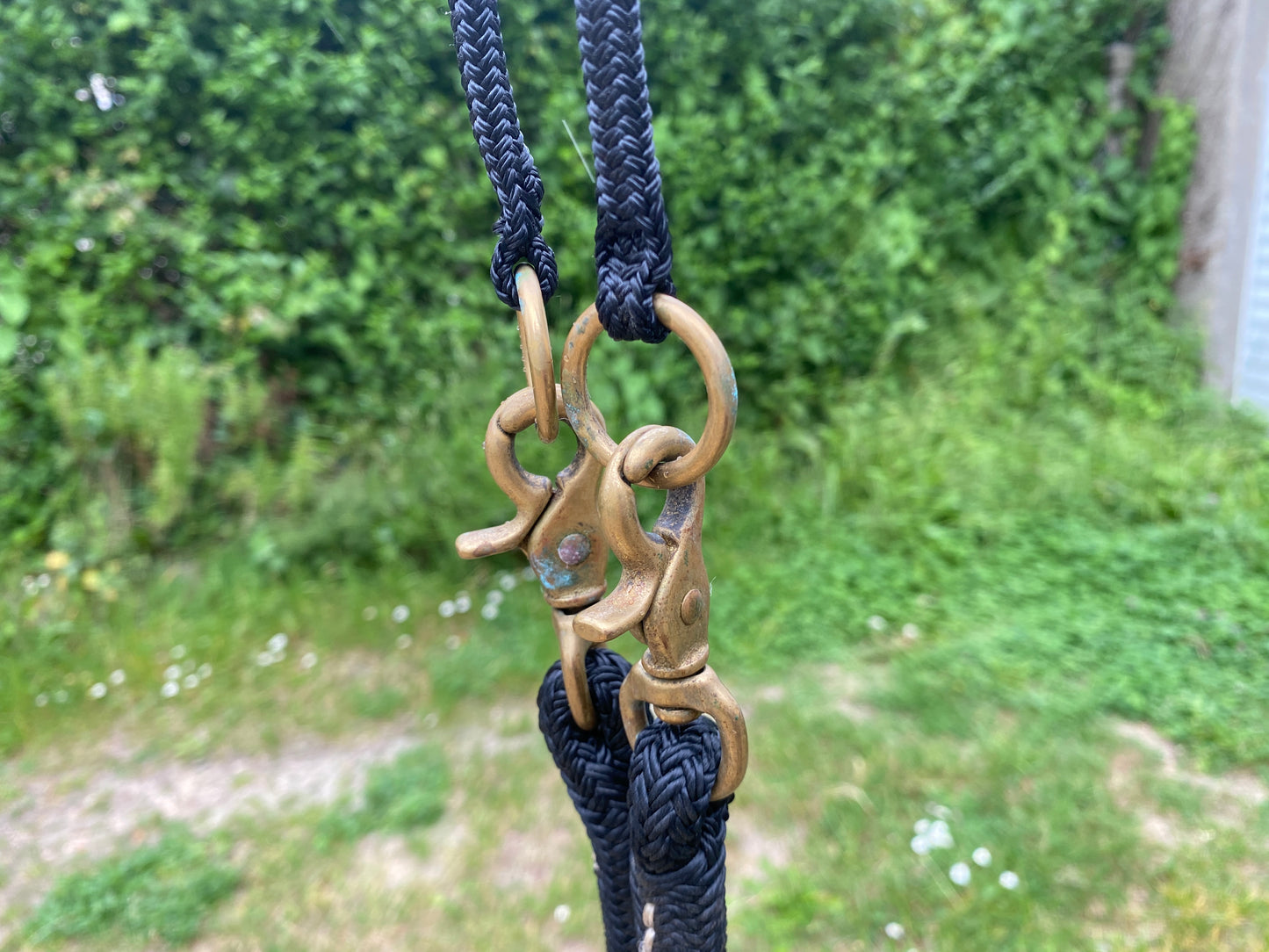 Marque Inconnue - Licol et rênes de monte éthologique cob