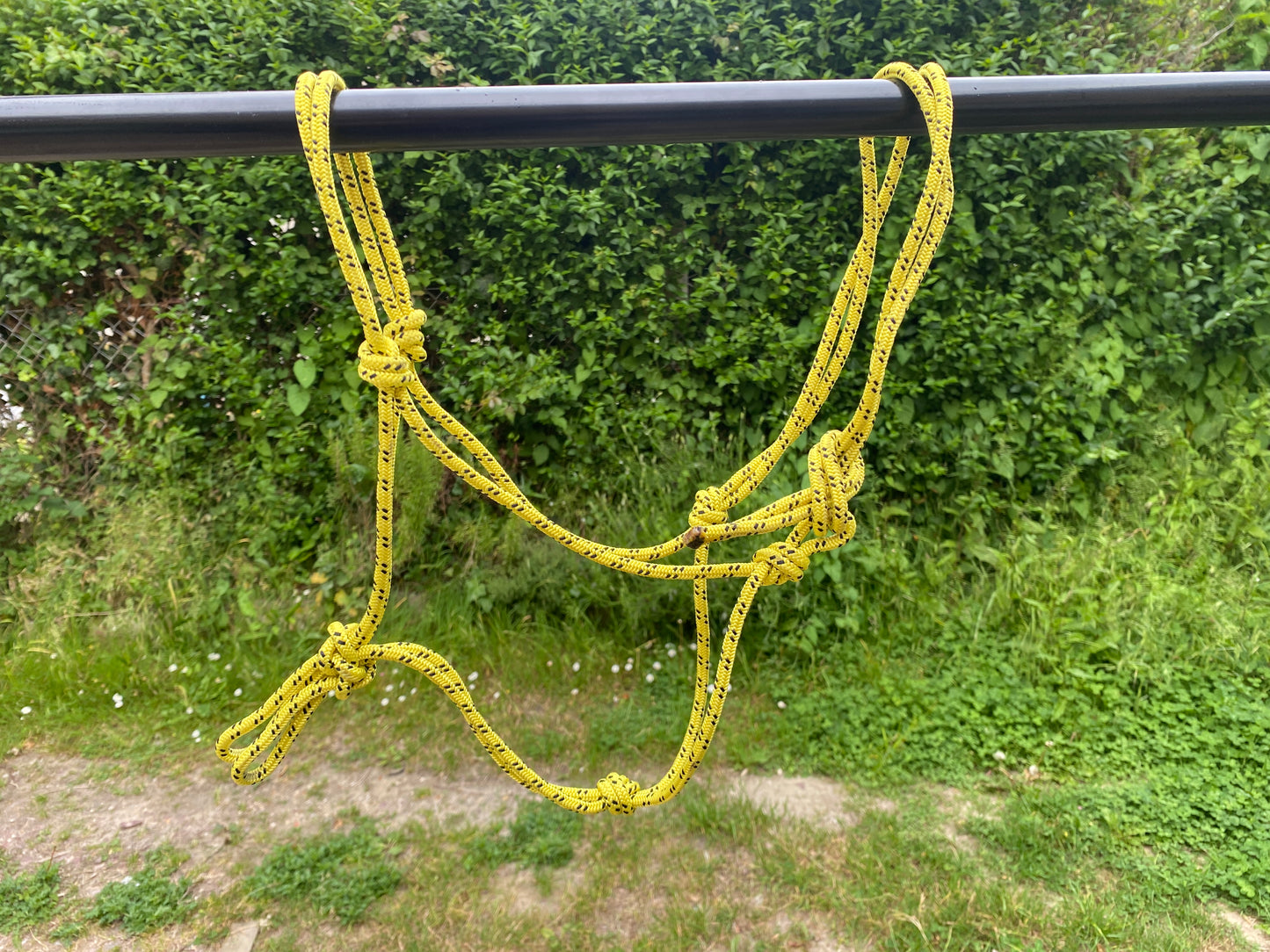Artisanal - Licol éthologique cob