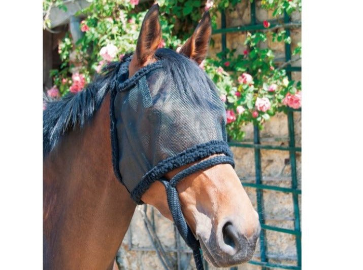 TdeT - Bonnet de pré sans oreilles