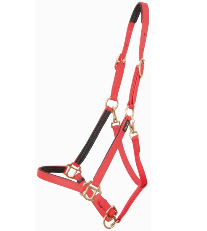 TdeT - Licol BIOTACK®