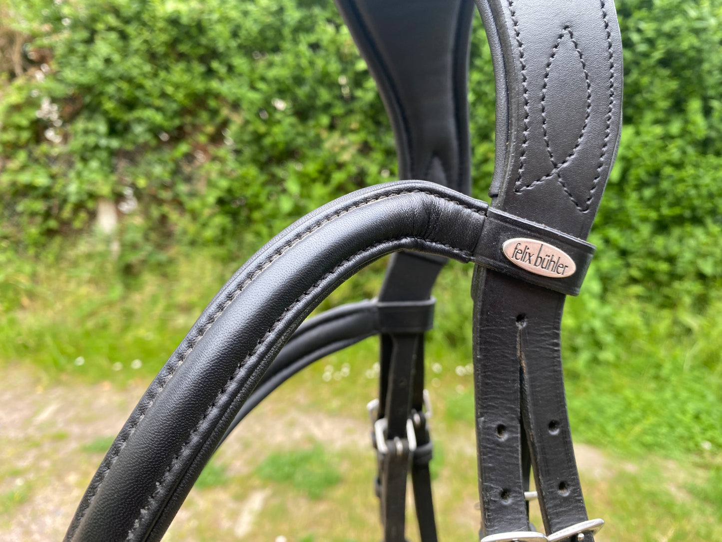 Felix Bühler - Bridon Gently Anatomical Innovation Cheval