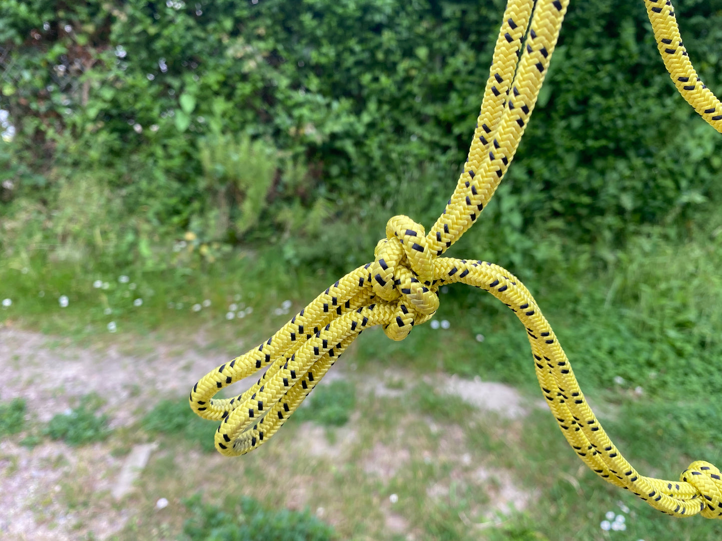 Artisanal - Licol éthologique cob