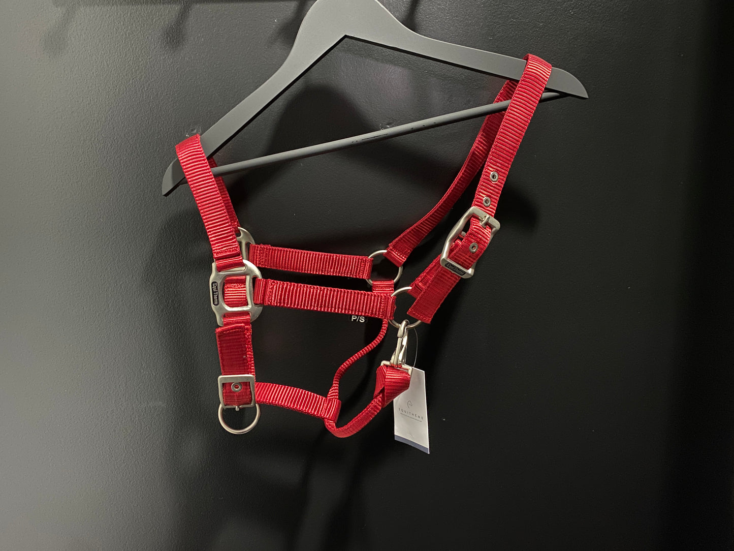 Equithème - Licol nylon poney