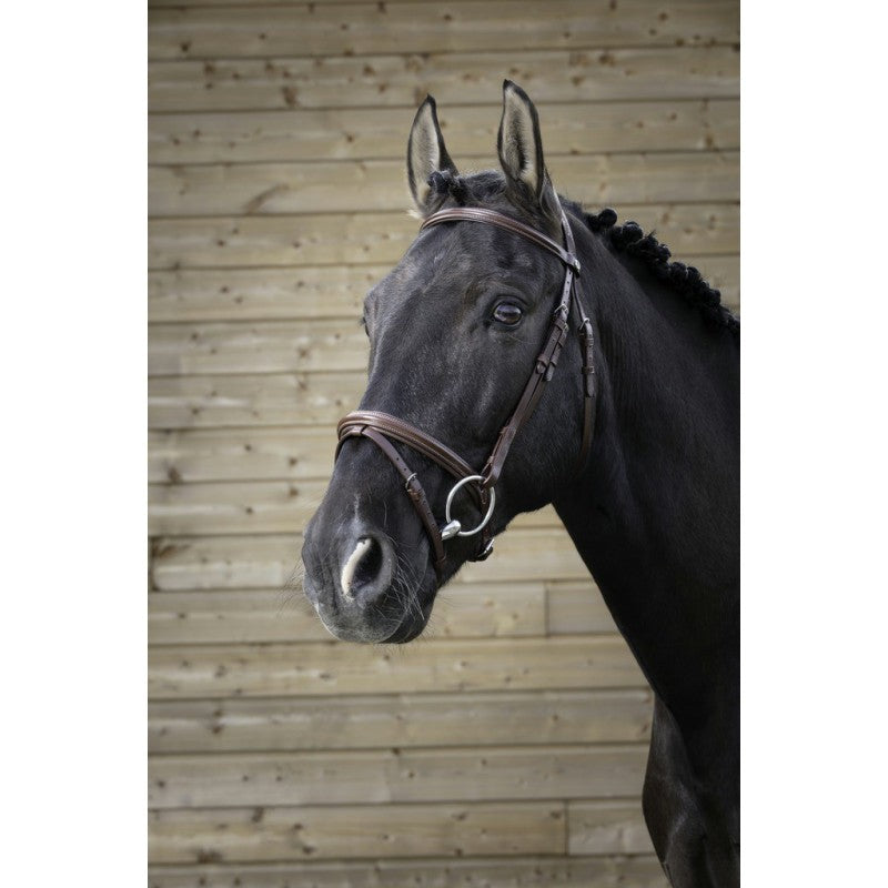 Norton Pro – Bridon « Fin »