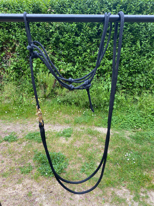 Marque Inconnue - Licol et rênes de monte éthologique cob